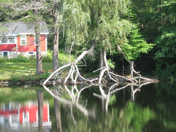 Ramshorn Pond Sutton MA photo