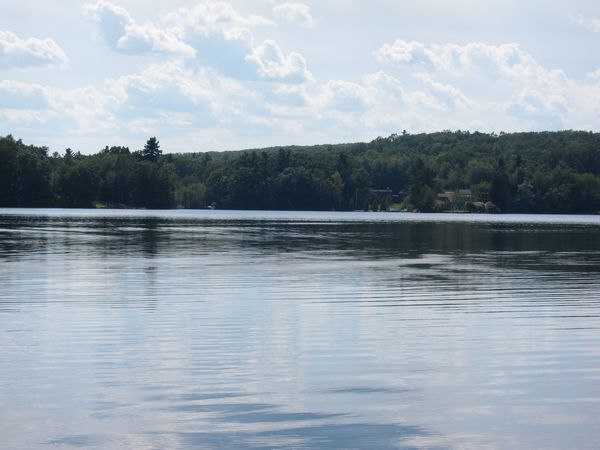 Ramshorn Pond Sutton MA photo