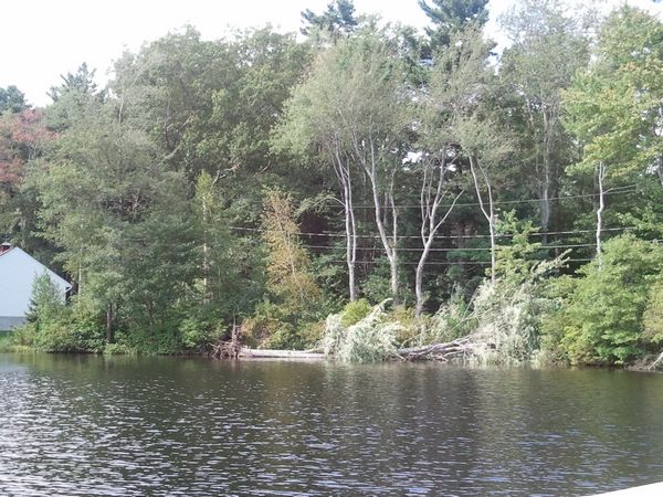 Ramshorn Pond Sutton MA photo