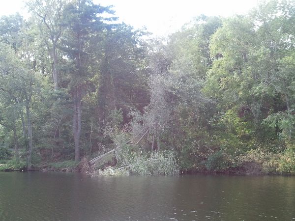 Ramshorn Pond Sutton MA photo