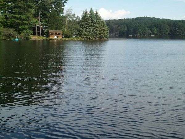 Ramshorn Pond Sutton MA photo
