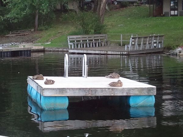 Ramshorn Pond Sutton MA photo