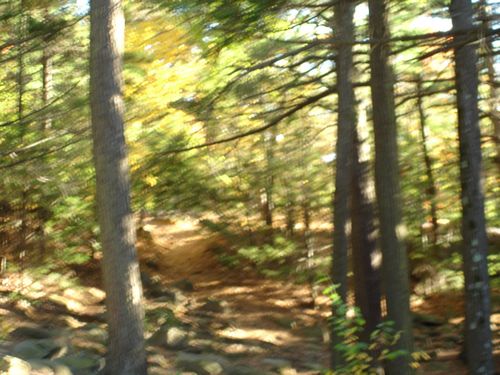 Purgatory Chasm Massachusetts Foliage photo