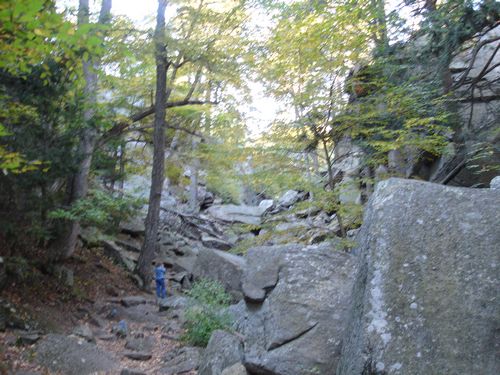 Purgatory Chasm Massachusetts Foliage photo