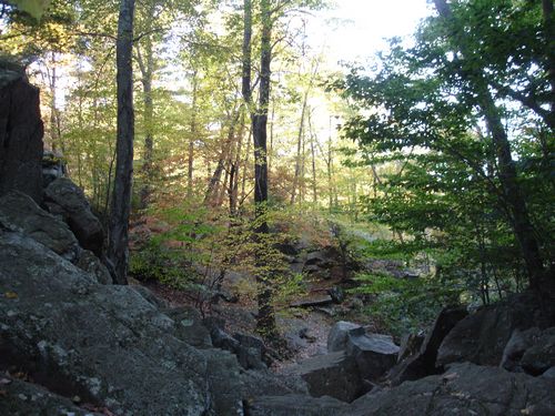 Purgatory Chasm Massachusetts Foliage photo