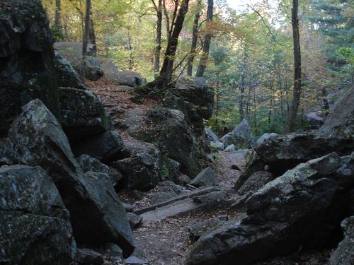 Purgatory Chasm Massachusetts Foliage photo