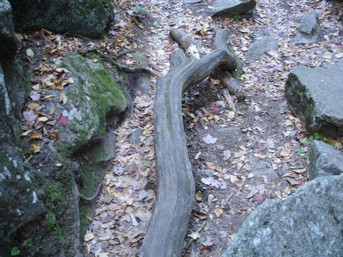 Purgatory Chasm Massachusetts Foliage photo