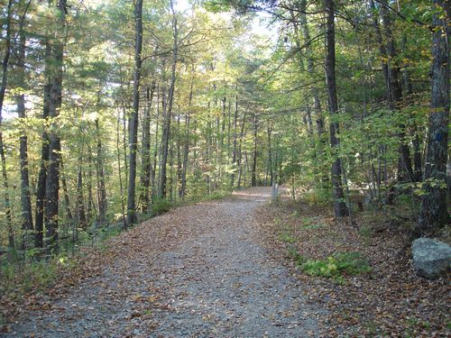 Purgatory Chasm Massachusetts Foliage photo