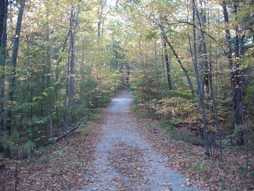 Purgatory Chasm Massachusetts Foliage photo