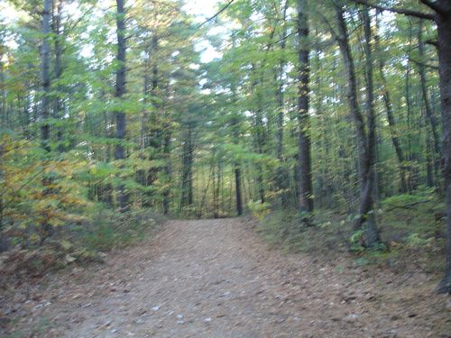 Purgatory Chasm Massachusetts Foliage photo
