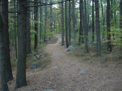 Purgatory Chasm Massachusetts Foliage photo