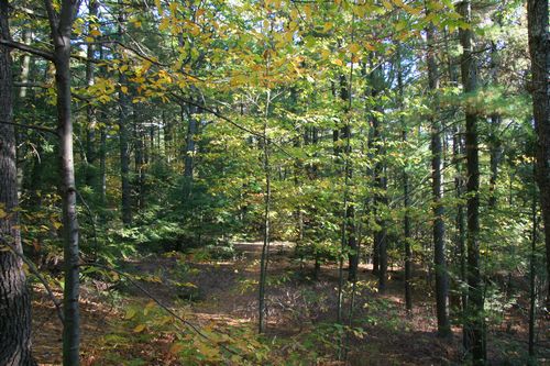 Purgatory Chasm Photos photo