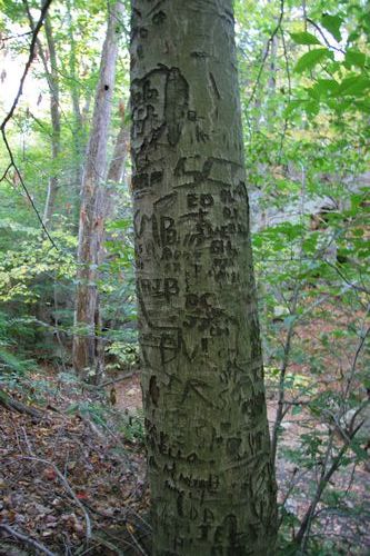 Purgatory Chasm Photos photo