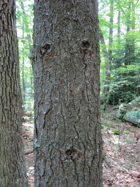 Purgatory Chasm Photos photo