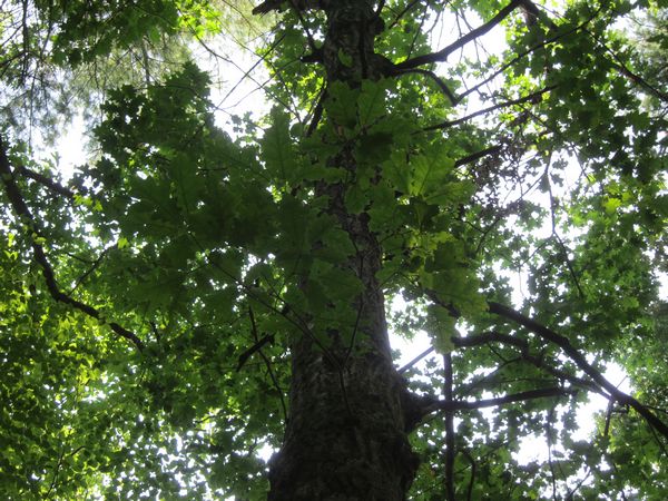 Purgatory Chasm Photos photo