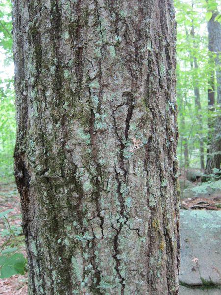 Purgatory Chasm Photos photo