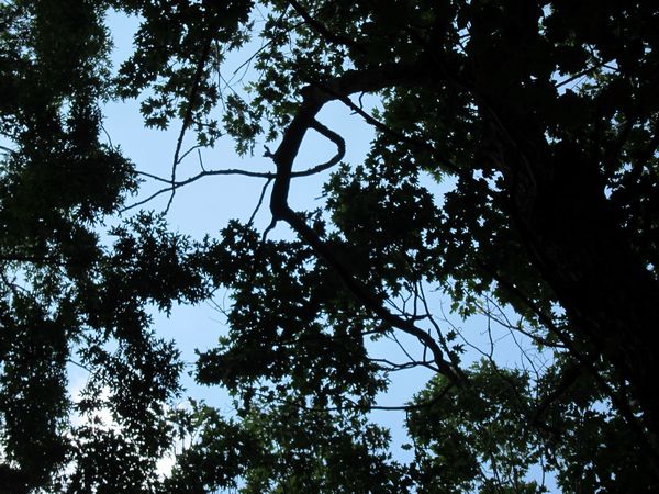 Purgatory Chasm Photos photo