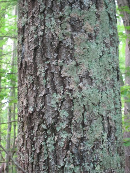 Purgatory Chasm Photos photo