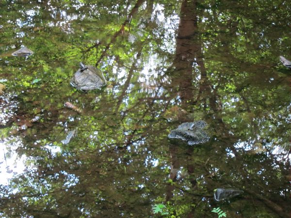 Purgatory Chasm Photos photo