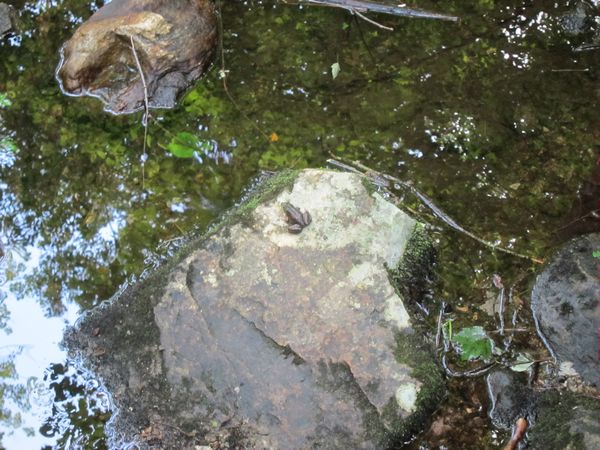 Purgatory Chasm Photos photo
