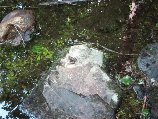Purgatory Chasm Photos photo