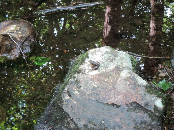 Purgatory Chasm Photos photo