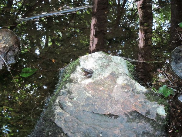 Purgatory Chasm Photos photo