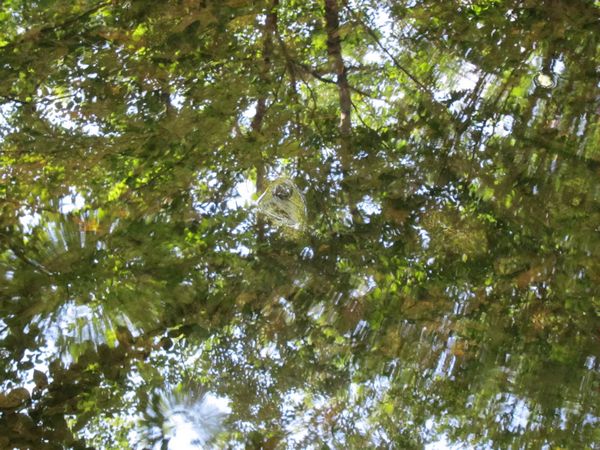 Purgatory Chasm Photos photo