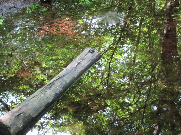 Purgatory Chasm Photos photo