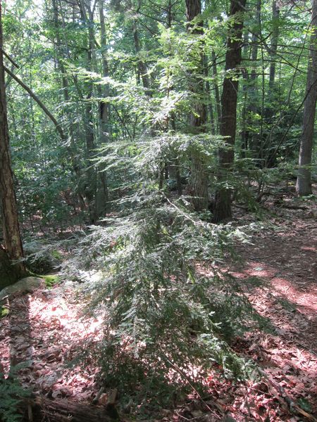 Purgatory Chasm Photos photo