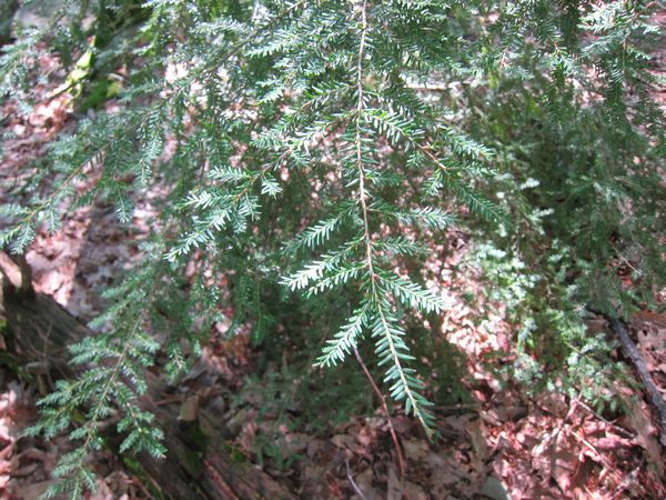 Purgatory Chasm Photos photo