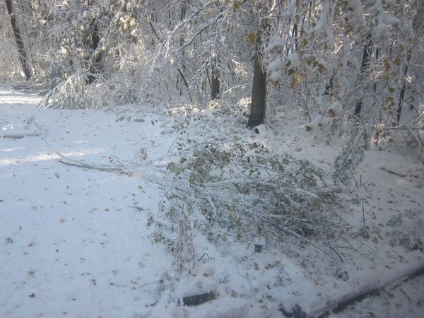 October 2011 Noreaster photo