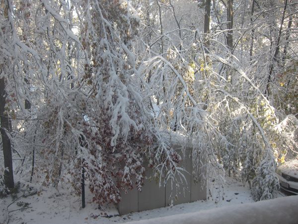 October 2011 Noreaster photo