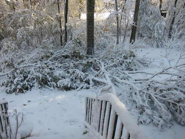October 2011 Noreaster photo