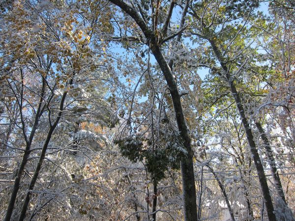 October 2011 Noreaster photo