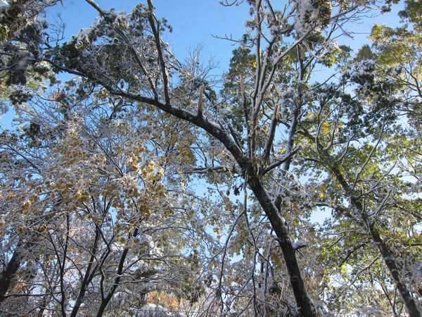October 2011 Noreaster photo