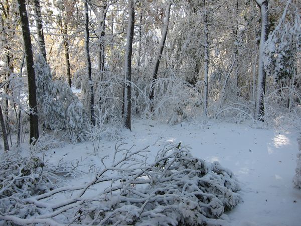 October 2011 Noreaster photo