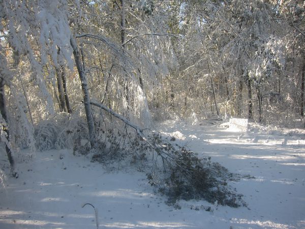 October 2011 Noreaster photo