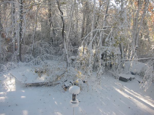 October 2011 Noreaster photo