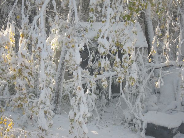 October 2011 Noreaster photo