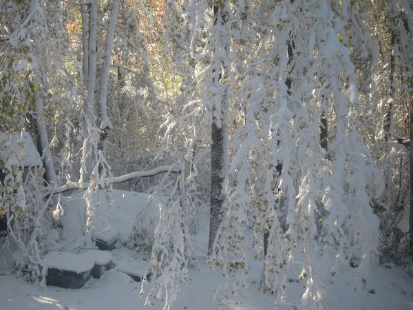 October 2011 Noreaster photo
