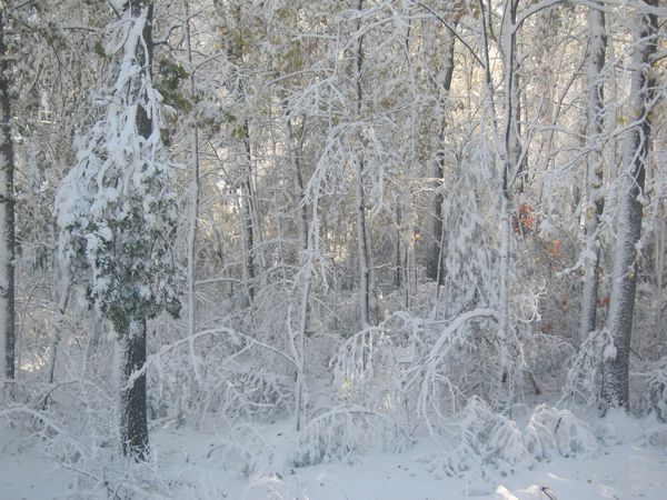 October 2011 Noreaster photo