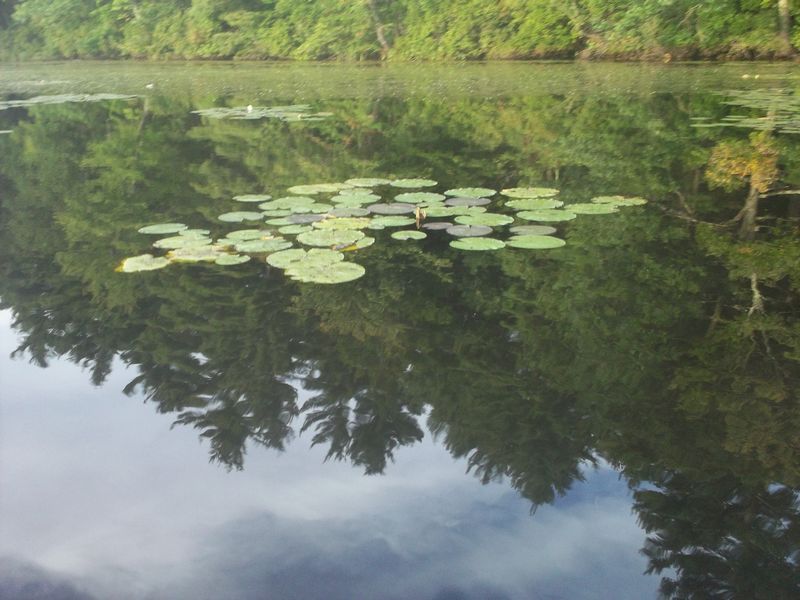 Kayaking Hopedale Pond Hopedale MA photo