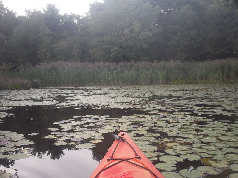 Kayaking Hopedale Pond Hopedale MA photo
