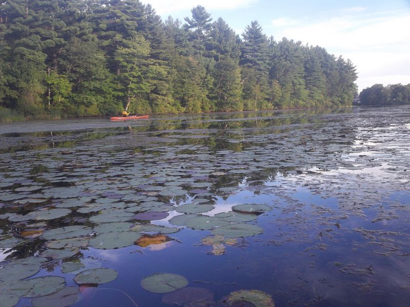 Kayaking Hopedale Pond Hopedale MA photo