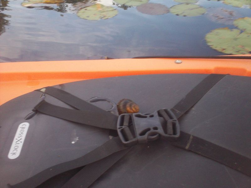 Kayaking Hopedale Pond Hopedale MA photo