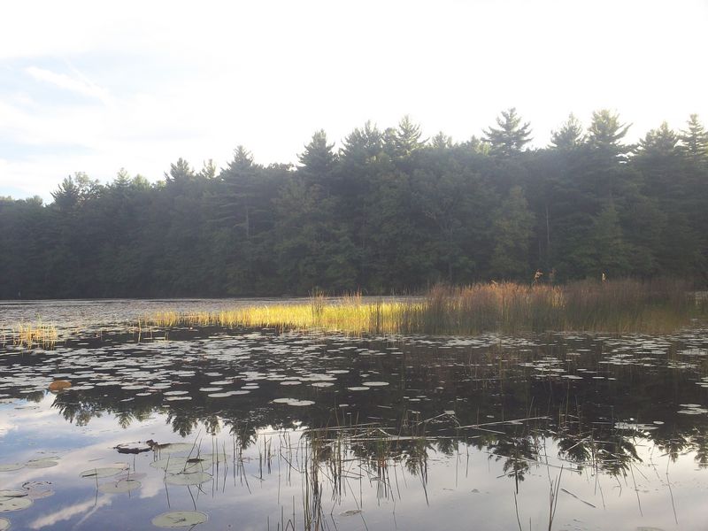 Kayaking Hopedale Pond Hopedale MA photo