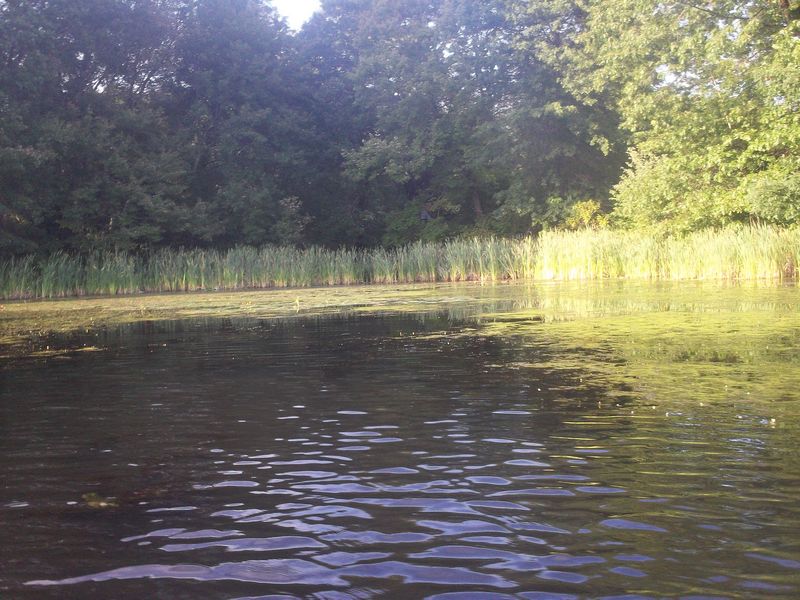 Kayaking Hopedale Pond Hopedale MA photo