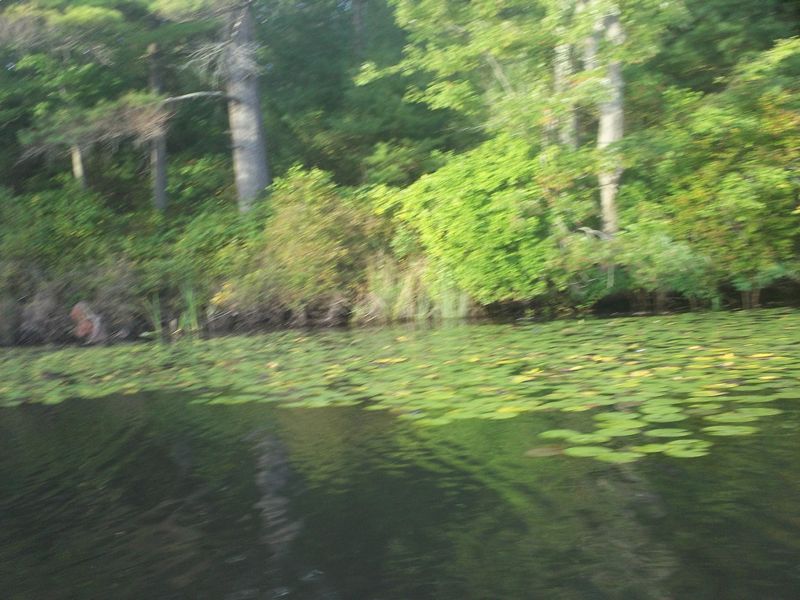 Kayaking Hopedale Pond Hopedale MA photo