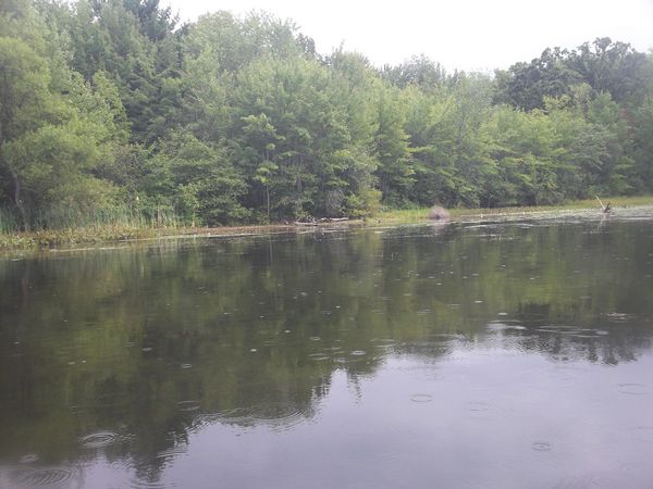 Kayaking Stump Pond / Mill Pond Westboro MA photo